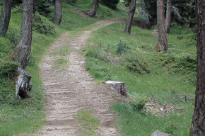 Walk - The way of larches | © APT Valsugana e Lagorai