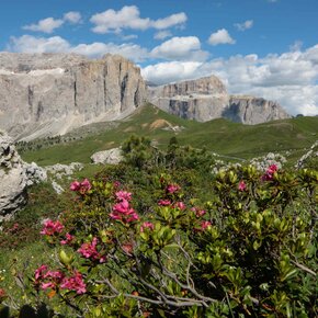 Sellaronda - ©Archivio APT Val di Fassa | © APT Val di Fassa