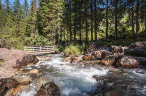 Ega te cuna - Penìa di Canazei ©Archivio APT Val di Fassa | © APT Val di Fassa