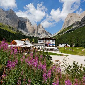 Pozza - Gardeccia - ©Archivio APT Val di Fassa | © APT Val di Fassa