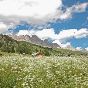 Passo San Pellegrino - ©Archivio APT Val di Fassa | © APT Val di Fassa
