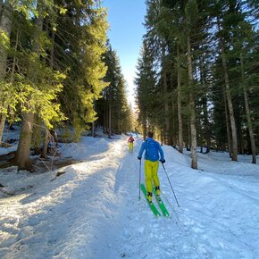 Rifugio Refavaie – Malga Fossernica di dentro – Cima dei Paradisi | © APT San Martino di Castrozza, Primiero e Vanoi