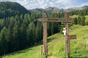 Alpe Lusia - Sentiero Natura - Valbona - Colvere - ©Archivio S.i.f. Impianti Funiviari Lusia S.p.a. | © APT Val di Fassa