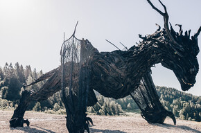 Dragon Path - Vaia Dragon Regeneration - Departure from Gionghi hamlet | © Azienda per il Turismo Alpe Cimbra