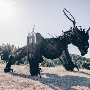 Sentiero del Drago - Drago Vaia Regeneration - Partenza da Frazione Gionghi | © Azienda per il Turismo Alpe Cimbra