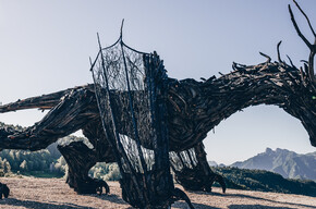 Dragon Path - Dragon Vaia Regeneration - Departure from Frazione Bertoldi | © Azienda per il Turismo Alpe Cimbra