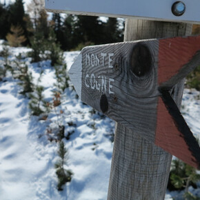 Trekking al Monte cogne in inverno | © Azienda per il Turismo Altopiano di Piné e Valle di Cembra