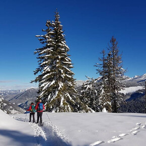 Up to the peak of Dosso di Costalta in winter | © APT Trento 