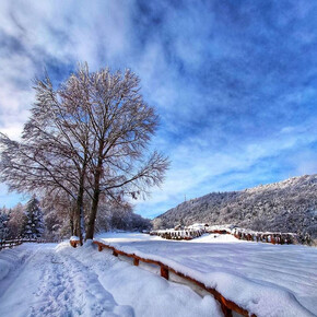 From Lago Santo to Roccolo del Sauch | © APT Trento, monte Bondone e Valle dei Laghi