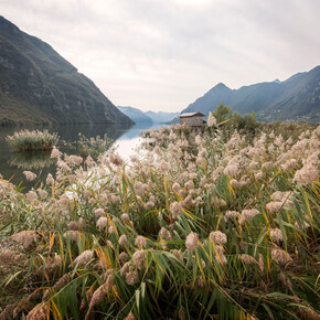 The Lake Idro Biotope, a treasure chest of biodiversity | © APT Madonna di Campiglio, Pinzolo, Val Rendena