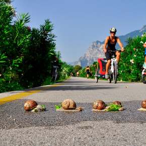 Riding with kids on the cycle path along river Sarca | © Garda Trentino