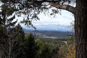 Passeggiata al punto panoramico del Dos de La Mot - da loc. Poggio... | © APT Trento 