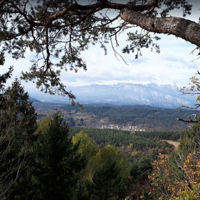 Passeggiata al punto panoramico del Dos de La Mot - da loc. Poggio... | © APT Trento 
