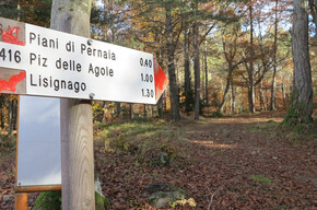 From Maderlina to Piz de le Agole | © APT Trento 