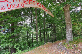 Losco Path | © APT Rovereto Vallagarina Monte Baldo