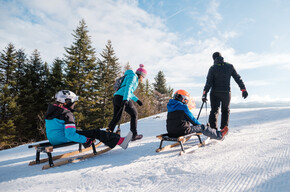 Bambi sled slope | © APT Dolomiti di Brenta e Paganella
