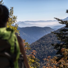 One of the panoramic views over the Valle di Cembra encountered while ascending towards the peat bog of Lake Valda | © Rete di Riserve Val di Cembra Avisio