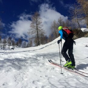 San Martino - Malga Tognola towards Cima Tognola | © APT San Martino di Castrozza, Primiero e Vanoi