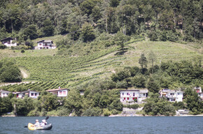 Weinberge am Seeufer in Pur | © North Lake Garda Trentino 