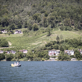Weinberge am Seeufer in Pur | © North Lake Garda Trentino 
