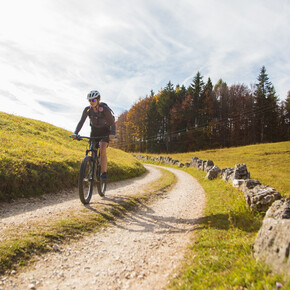 837 - Lavarone Bike Tour | © Azienda per il Turismo Alpe Cimbra