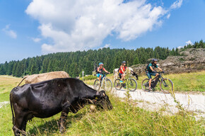Ciclopedonale Luserna - Roana | © Azienda per il Turismo Alpe Cimbra