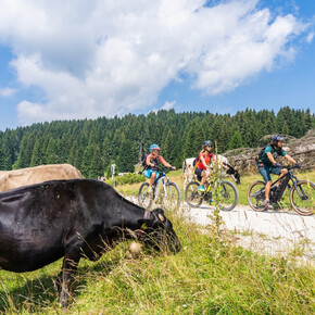 Ciclopedonale Luserna - Roana | © Azienda per il Turismo Alpe Cimbra