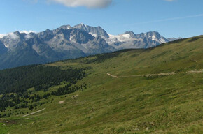 Ortisè - Malga Pozze | © APT Valli di Sole, Peio e Rabbi