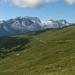 © APT Valli di Sole, Peio e Rabbi