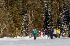 Route Nr. 18 Pappagallo- Cabinovia Colarin- Schneeschuhwanderung | © Madonna di Campiglio Azienda per il Turismo 