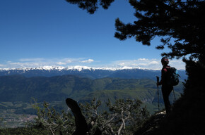 Rif. Malga Kraun - Cima Roccapiana (SAT 518) | © Consorzio Turistico Piana Rotaliana Königsberg