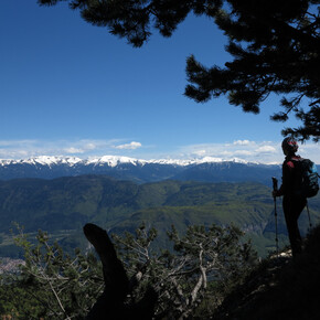 © Consorzio Turistico Piana Rotaliana Königsberg