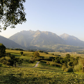 Vista Val Lomasona | © Trentino Sviluppo foto di B. Bolchi
