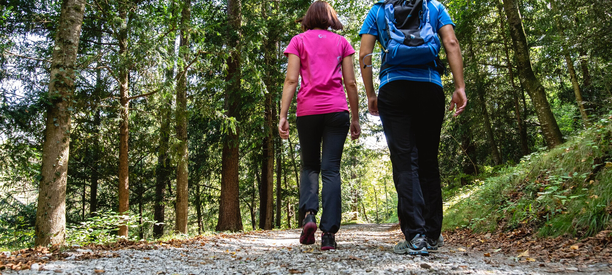 Camminare nel bosco | © Garda Trentino
