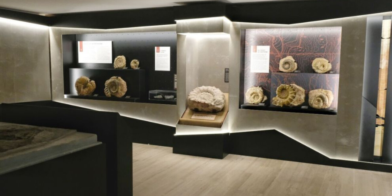 Museo di Scienze e Archeologia #4