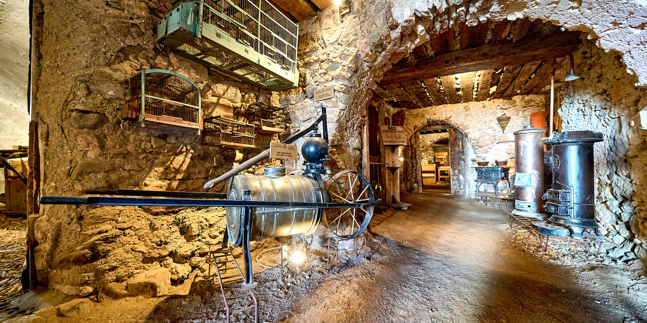 M.A.S. - Museo delle Arti e dei Saperi #4