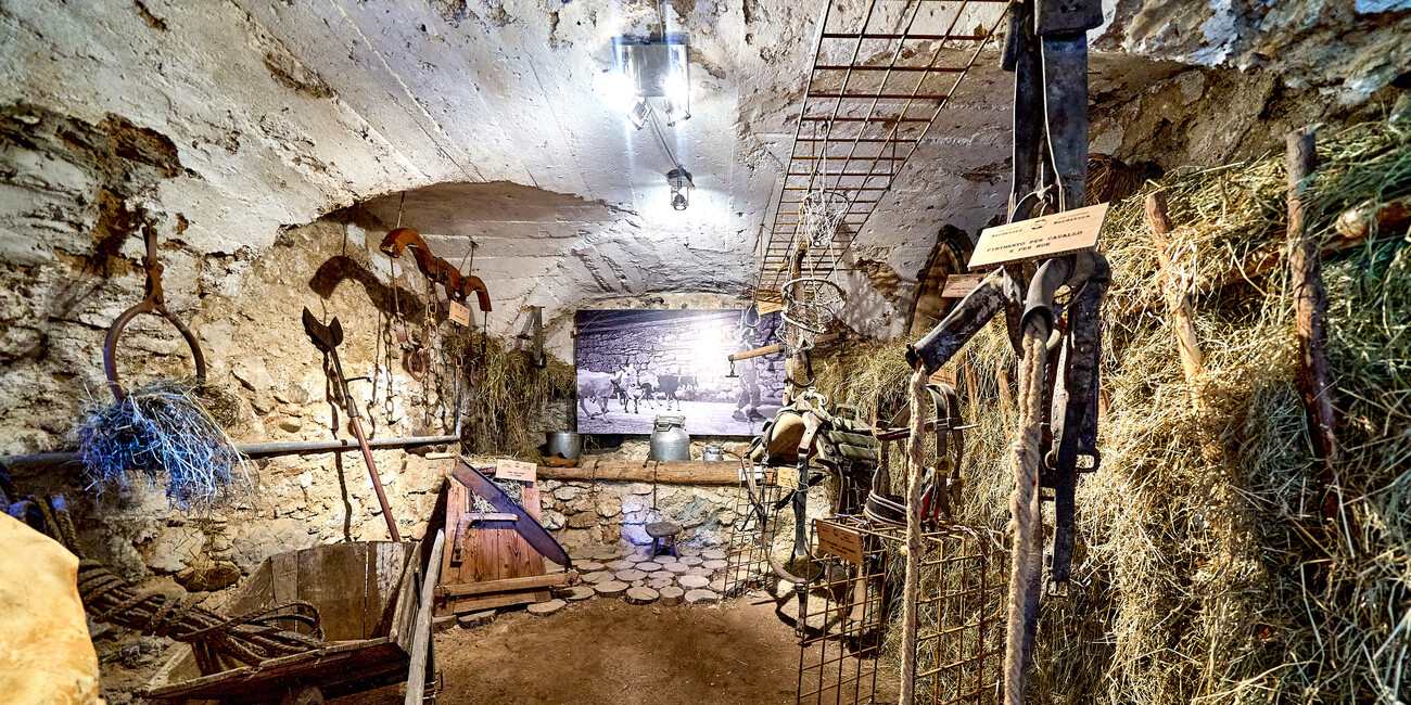 M.A.S. - Museo delle Arti e dei Saperi #7