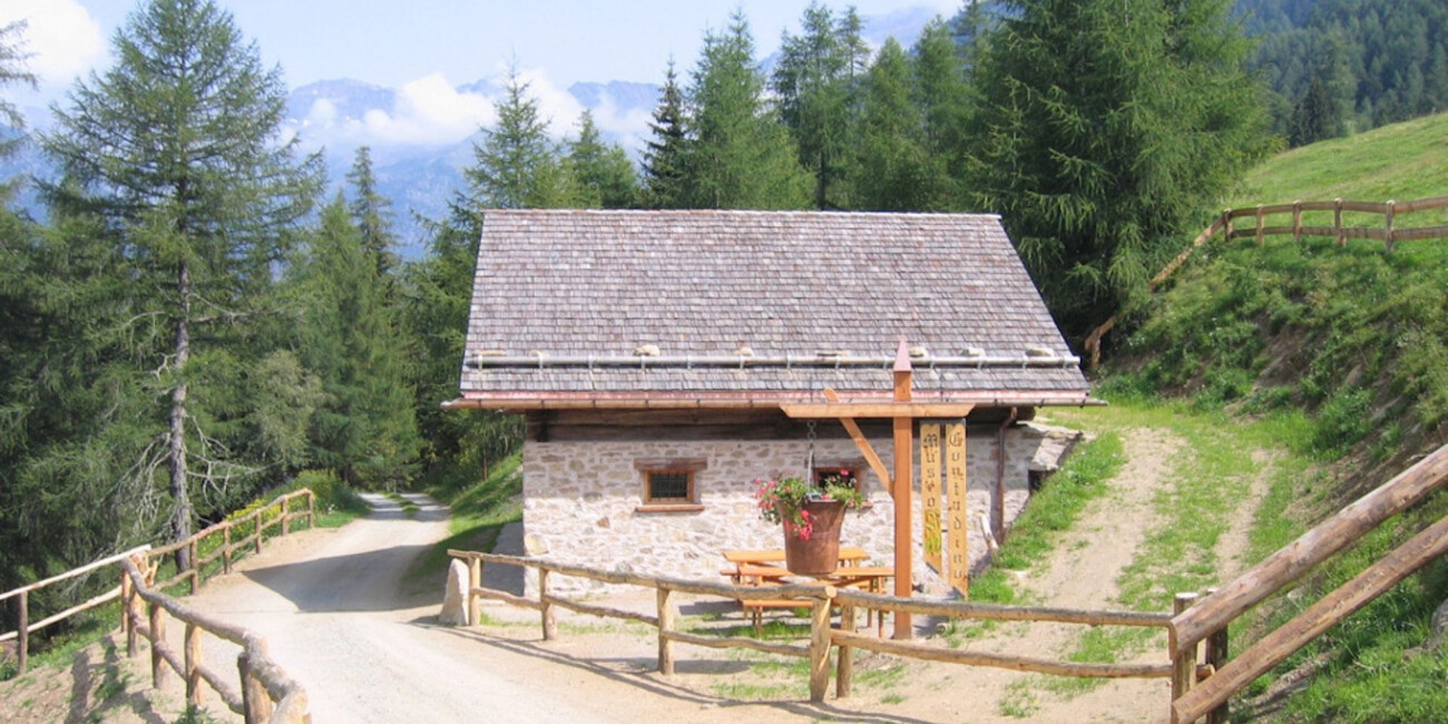 Museo del contadino di montagna - Celledizzo di Peio #1