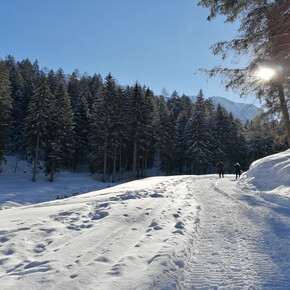Ökomuseum Val Meledrio