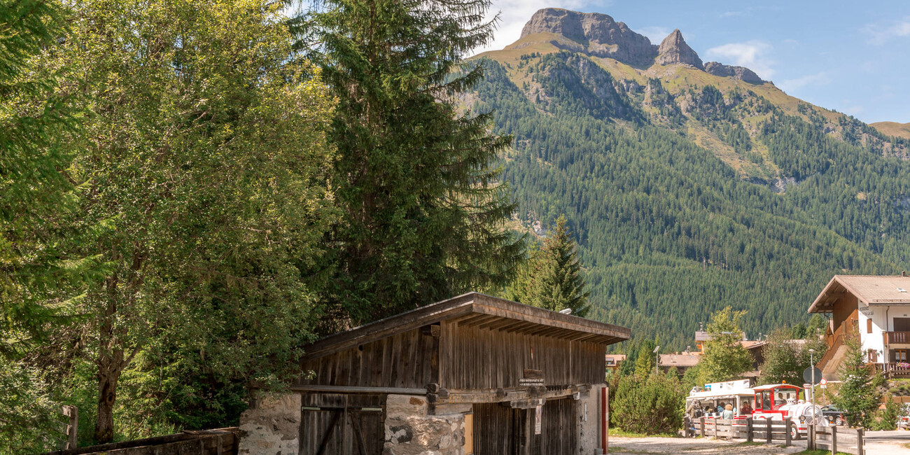 La Sia - The Venetian sawmill #1