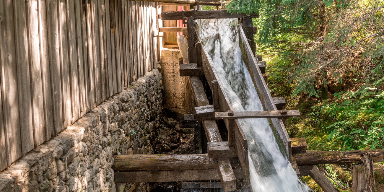 La Sia - The Venetian sawmill #5