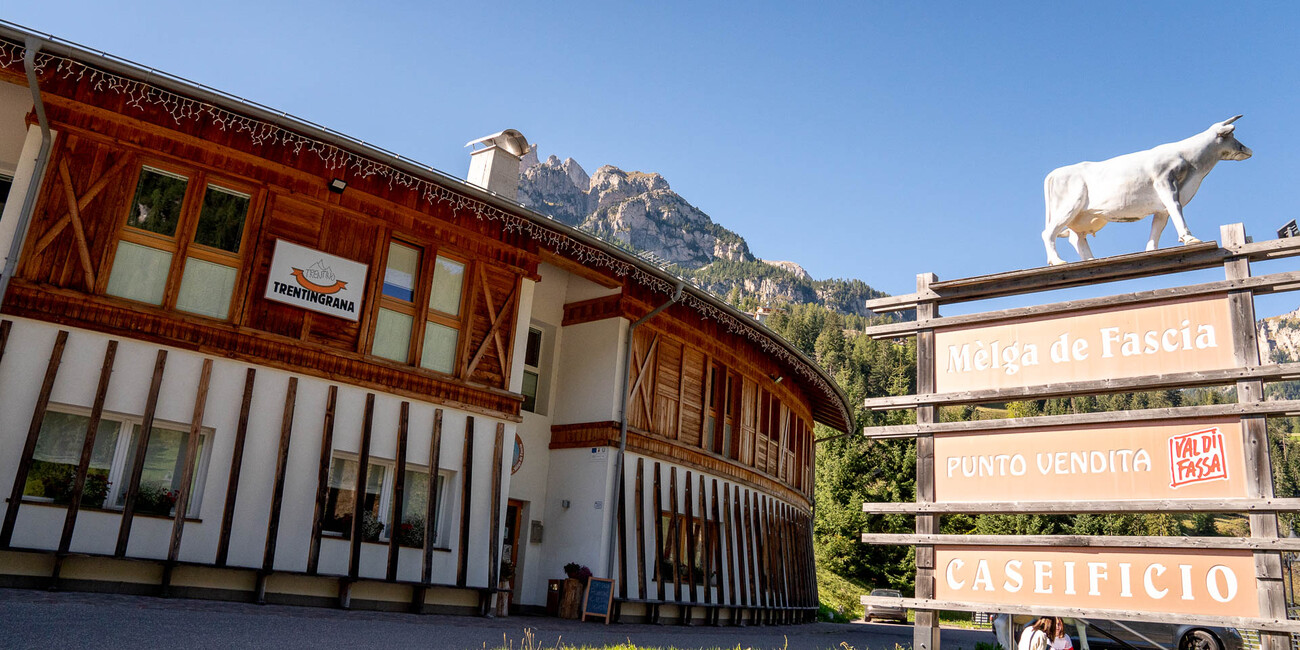 L Malghier - La caseificazione #2