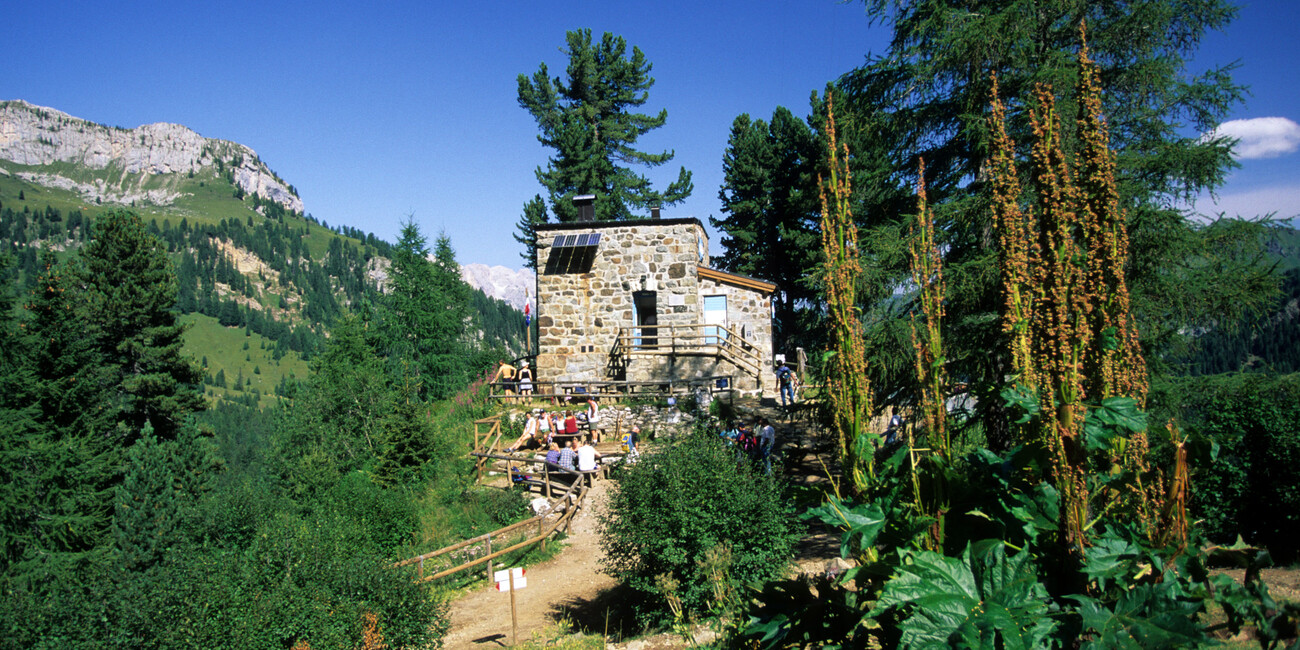 Punto Panoramico Monzoni - Cima Undici #7