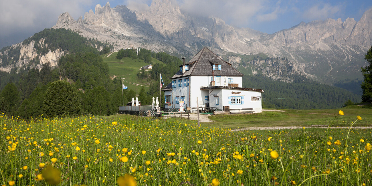 Ciampedie - Rosegarten Aussichtspunkt #9