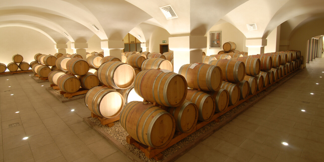 Cantina Rotaliana #3