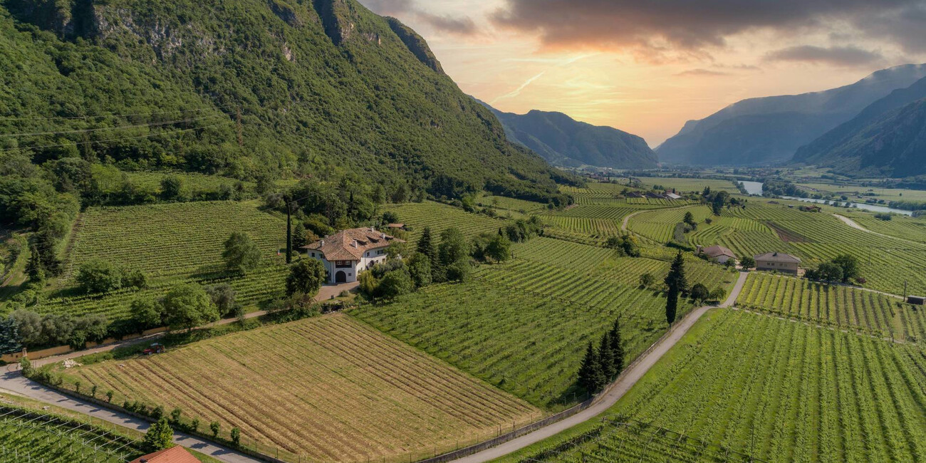 Cantina e agriturismo Vallarom #2