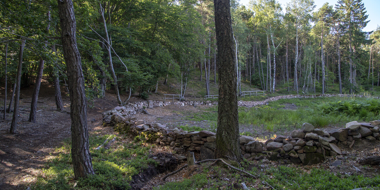 Punto panoramico Piz de le Agole #5