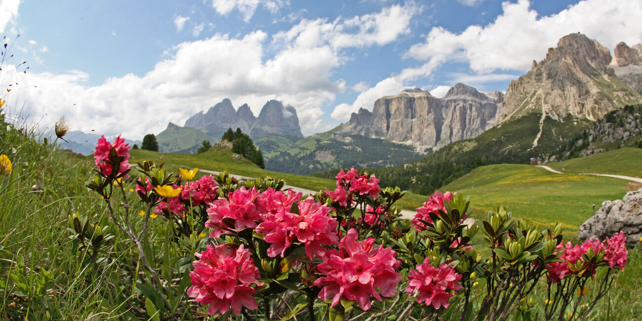 Punto panoramico Belvedere - Col dei Rossi #2