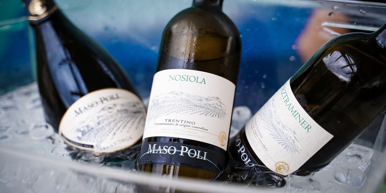 Az. Agr. Maso Poli #3