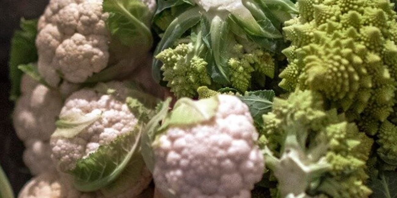 Az. Agr. Foradori #9